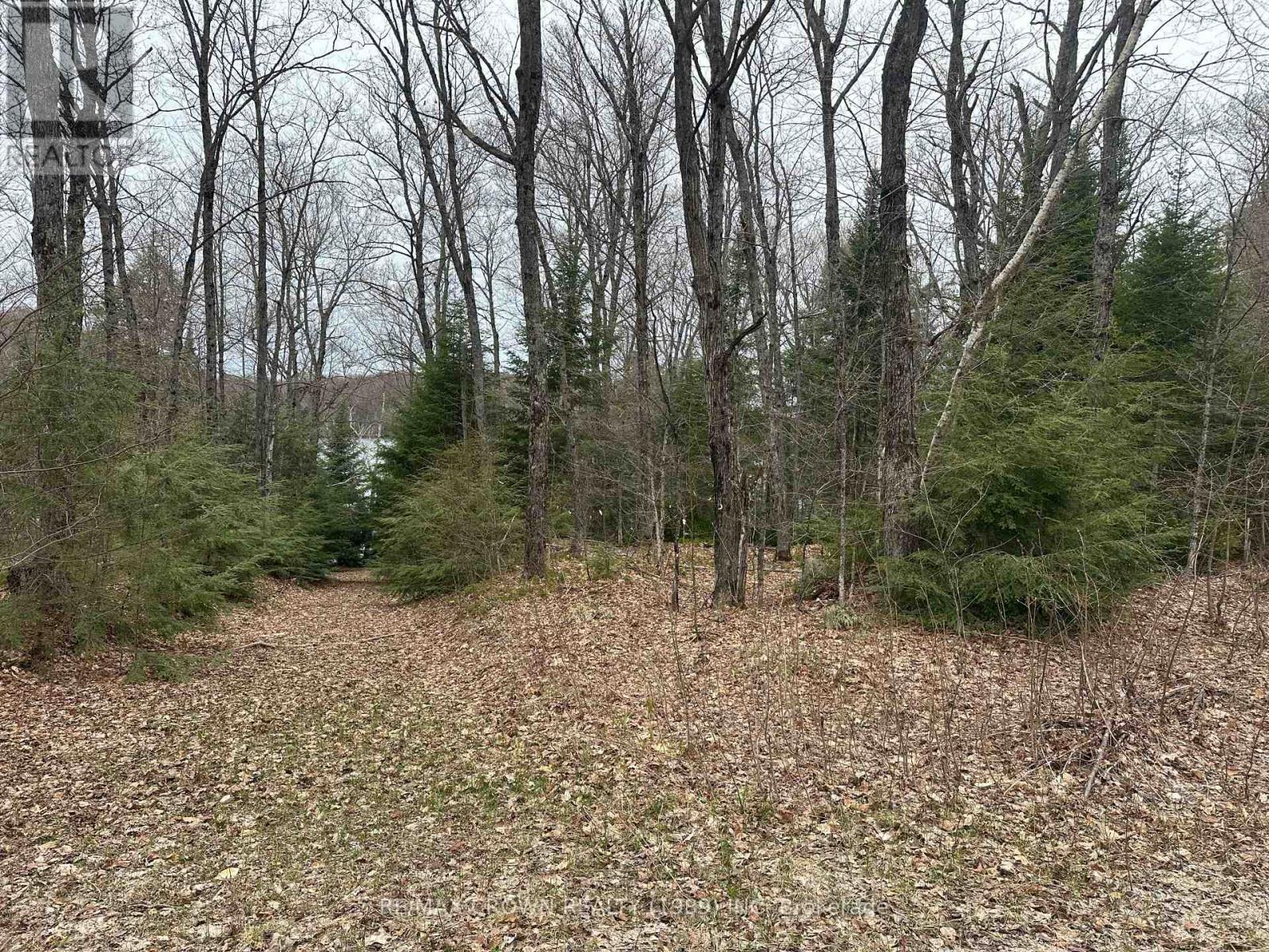 Pt Lt 14 Con 10 Machar Pt 3, Machar, Ontario  P0A 1X0 - Photo 13 - X12969838