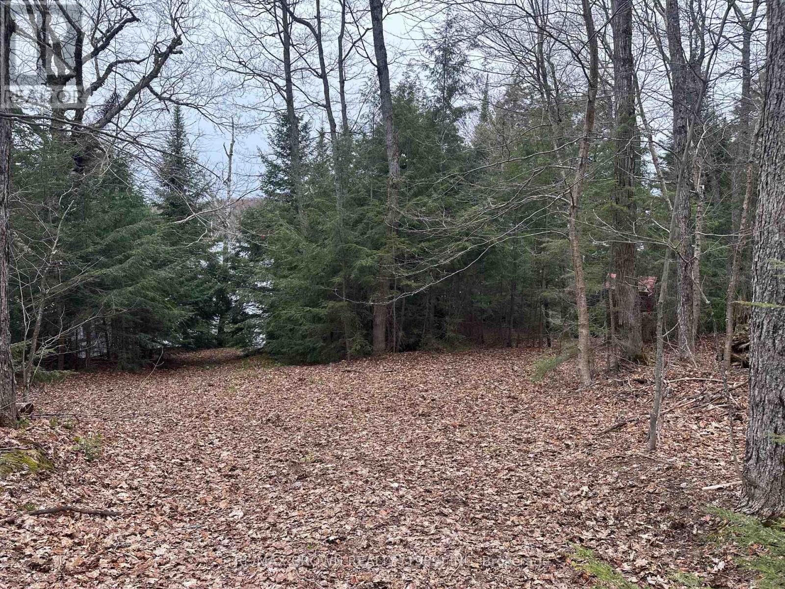 Pt Lt 14 Con 10 Machar Pt 3, Machar, Ontario  P0A 1X0 - Photo 15 - X12969838