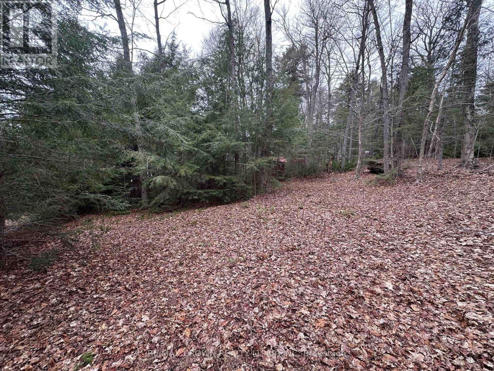 Pt Lt 14 Con 10 Machar Pt 3, Machar, Ontario  P0A 1X0 - Photo 16 - X12969838