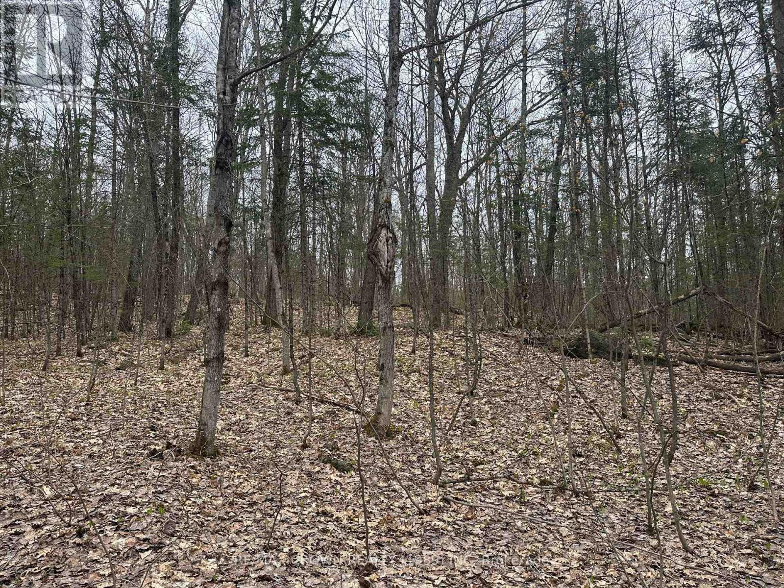 Pt Lt 14 Con 10 Machar Pt 3, Machar, Ontario  P0A 1X0 - Photo 7 - X12969838