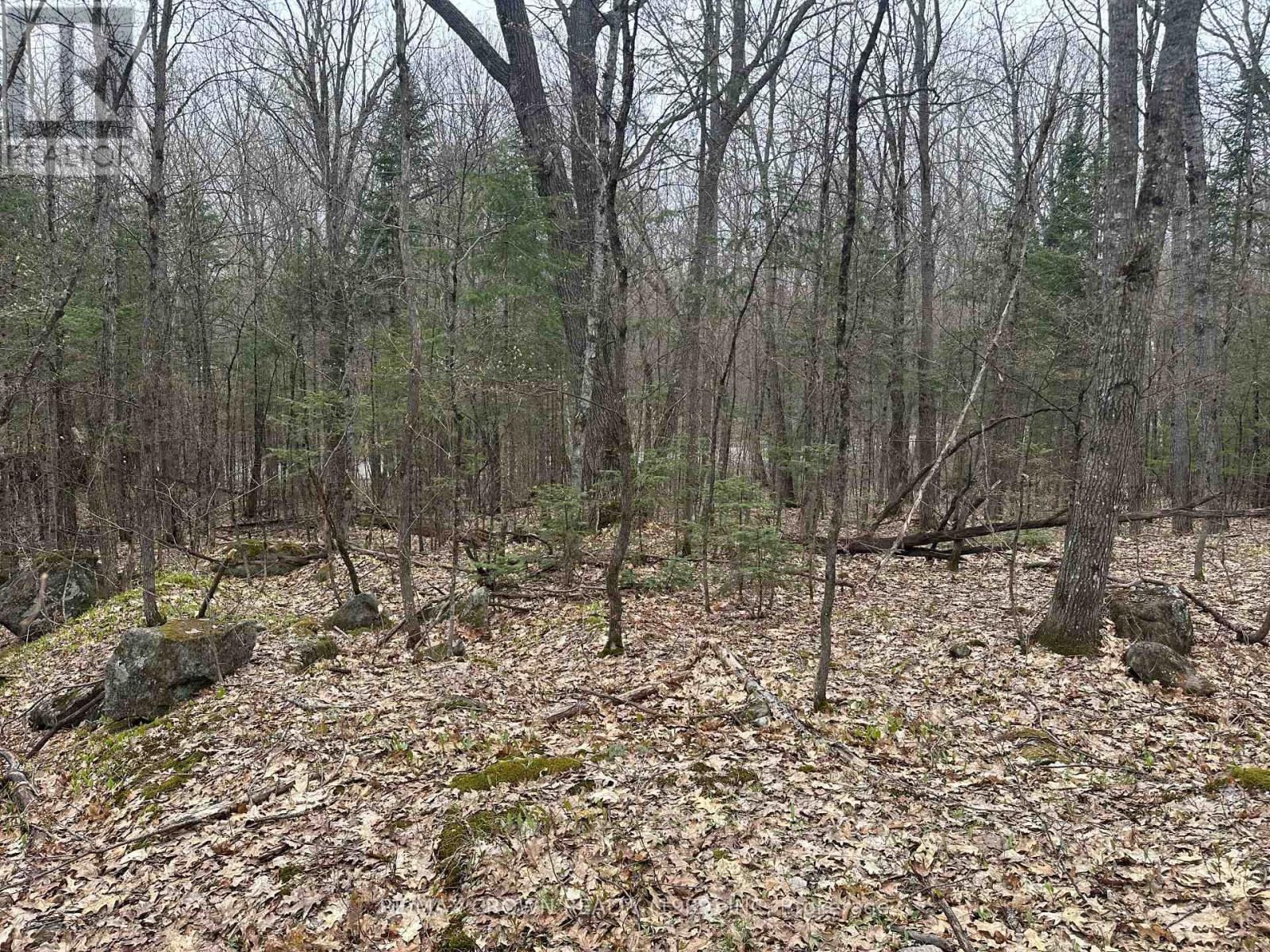 Pt Lt 14 Con 10 Machar Pt 3, Machar, Ontario  P0A 1X0 - Photo 9 - X12969838