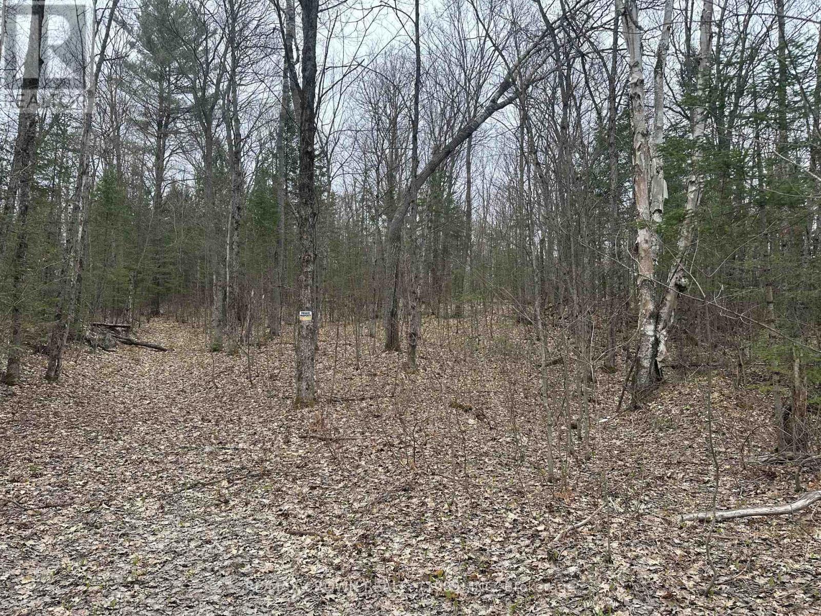 Pt Lt 14 Con 10 Machar Pt 3, Machar, Ontario  P0A 1X0 - Photo 6 - X12969838