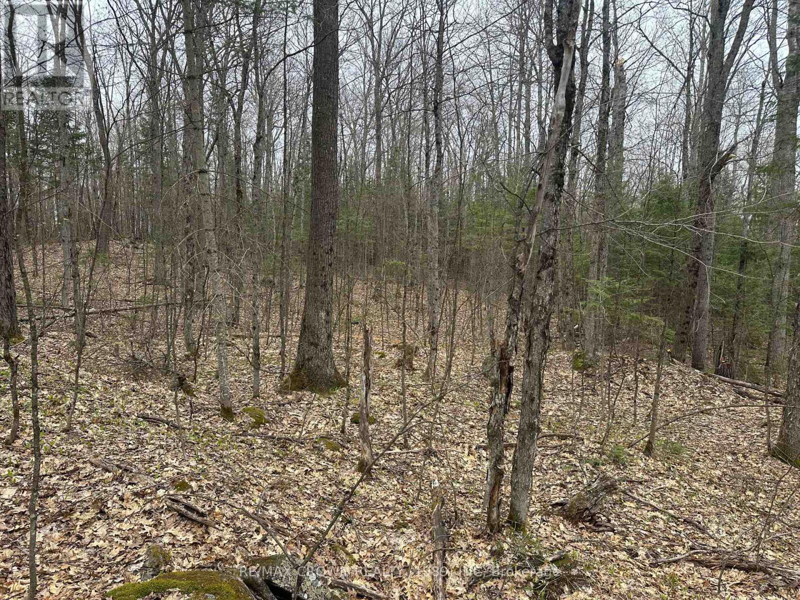 Pt Lt 14 Con 10 Machar Pt 3, Machar, Ontario  P0A 1X0 - Photo 8 - X12969838