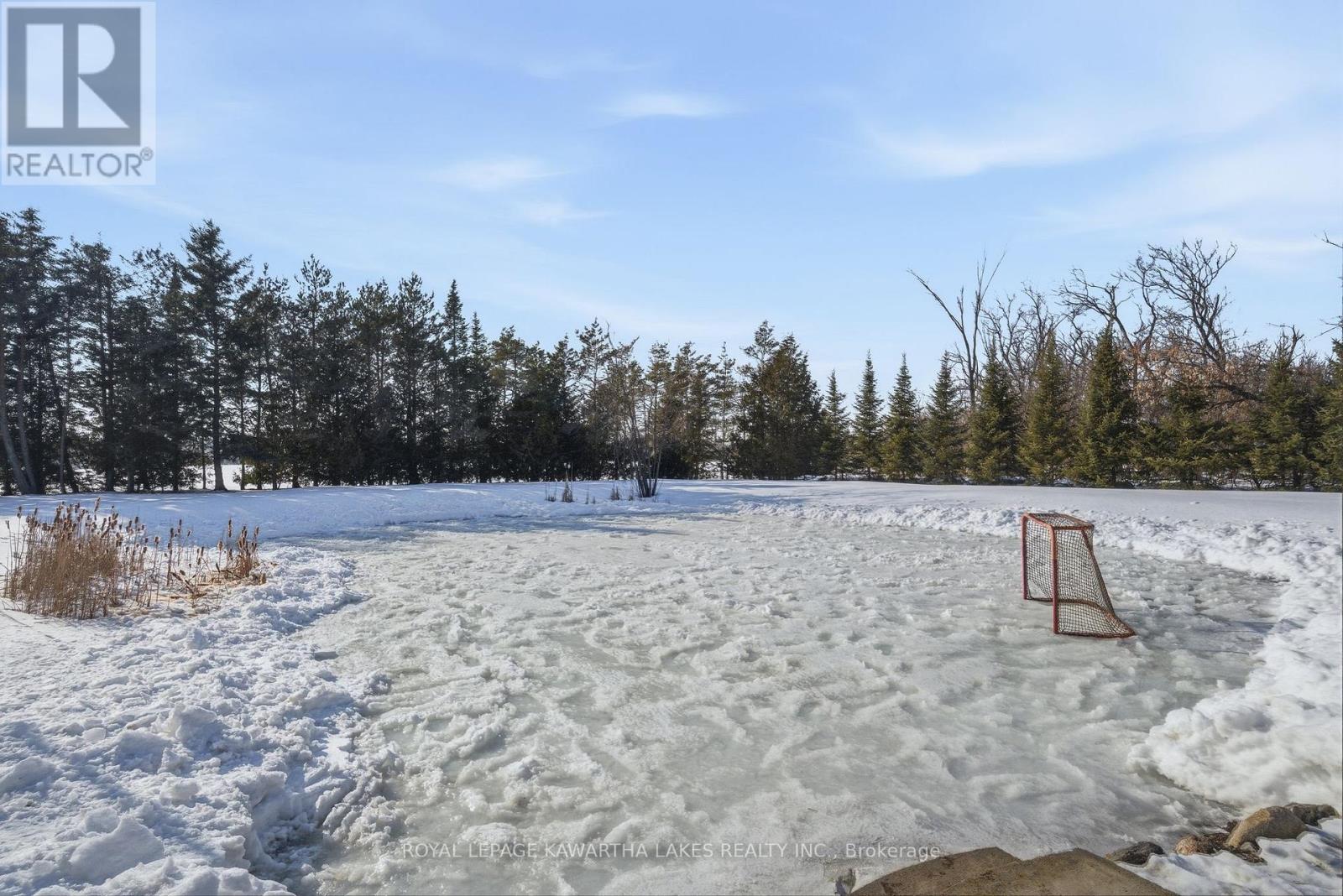 77 County Rd 36, Kawartha Lakes, Ontario  K9V 4R4 - Photo 38 - X12853898
