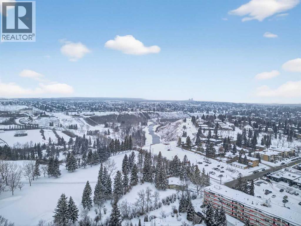 401, 735 56 Avenue SW, Calgary, Alberta  T2V 0G9 - Photo 15 - A2288566