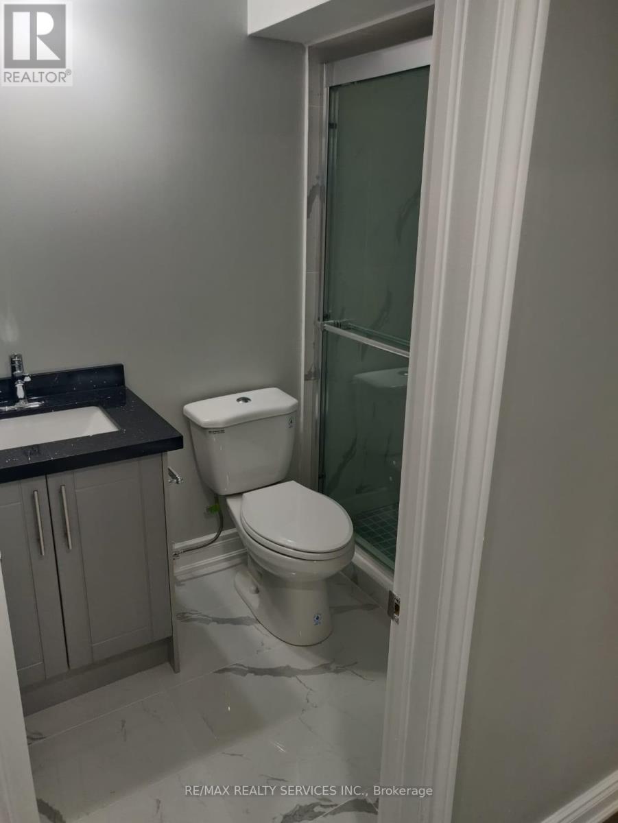 Basement - 4 Lackington Street, Brampton, Ontario  L6X 0R8 - Photo 11 - W13126288