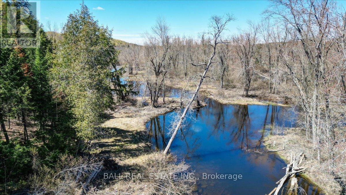 832 Lasswade Road, North Kawartha, Ontario  K0L 1A0 - Photo 11 - X13126550
