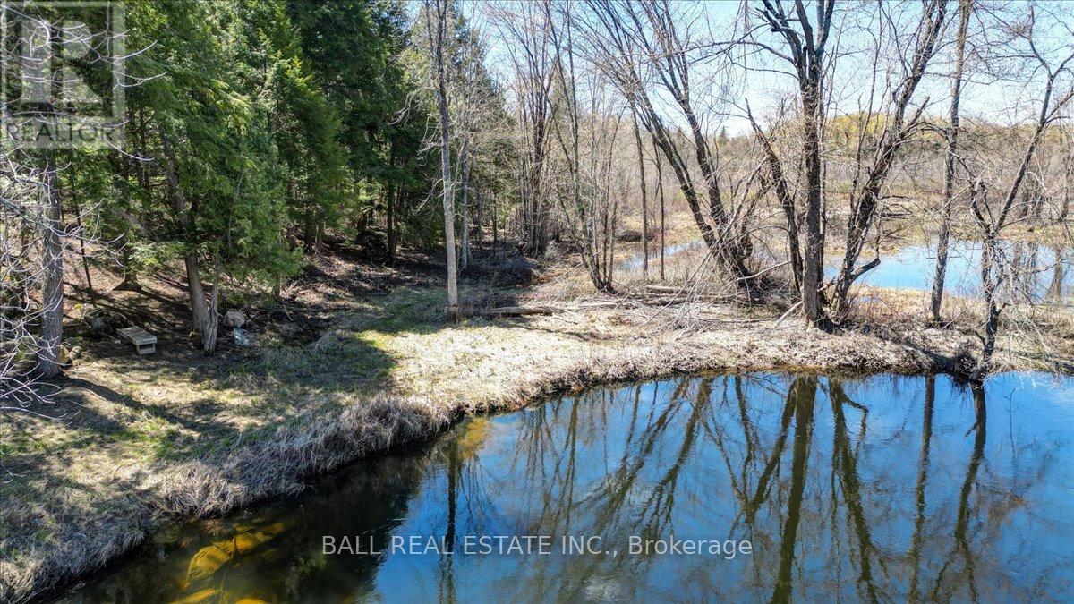832 Lasswade Road, North Kawartha, Ontario  K0L 1A0 - Photo 12 - X13126550