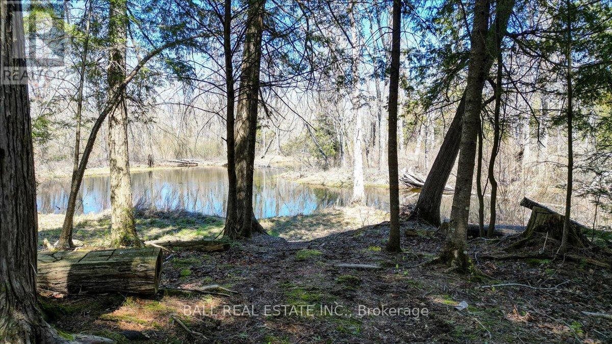 832 Lasswade Road, North Kawartha, Ontario  K0L 1A0 - Photo 13 - X13126550