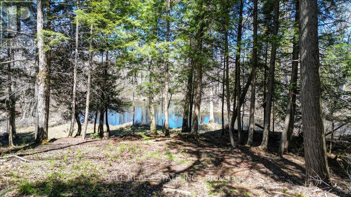832 Lasswade Road, North Kawartha, Ontario  K0L 1A0 - Photo 14 - X13126550