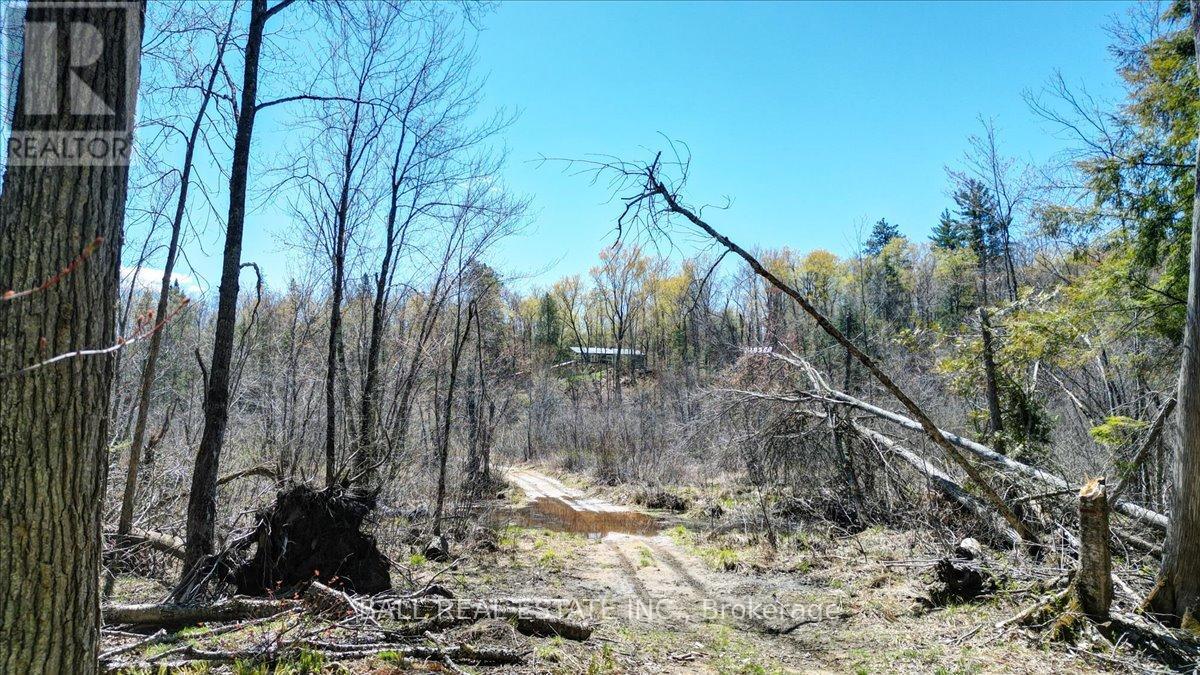 832 Lasswade Road, North Kawartha, Ontario  K0L 1A0 - Photo 17 - X13126550