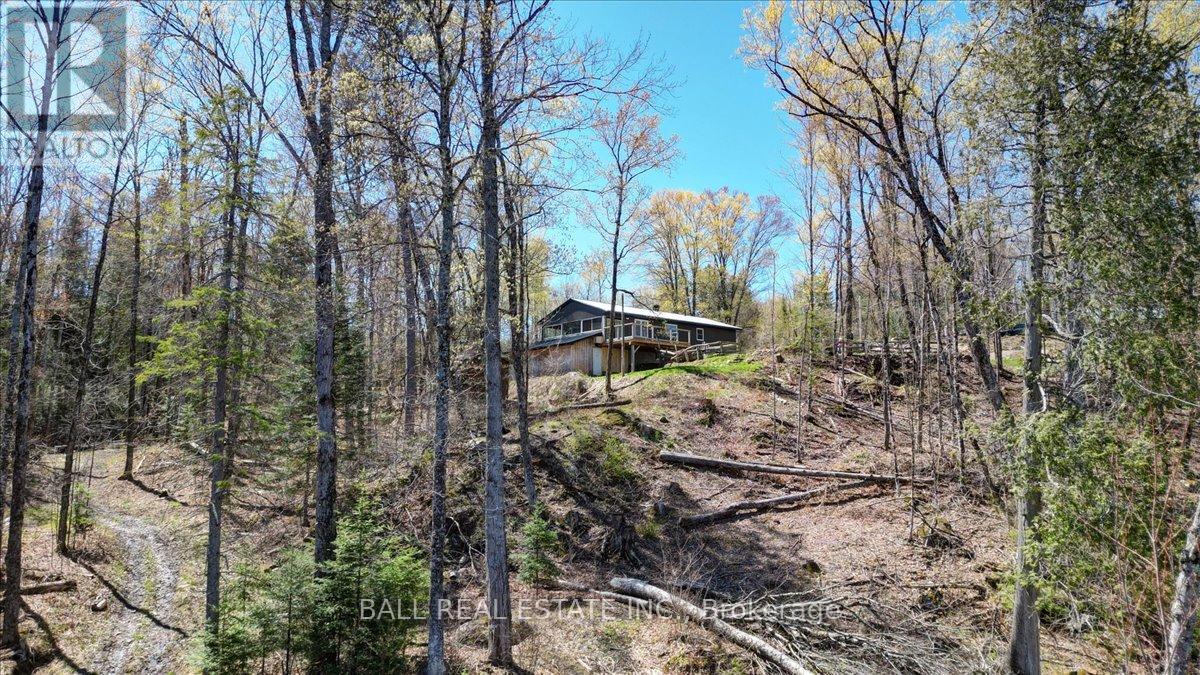 832 Lasswade Road, North Kawartha, Ontario  K0L 1A0 - Photo 4 - X13126550