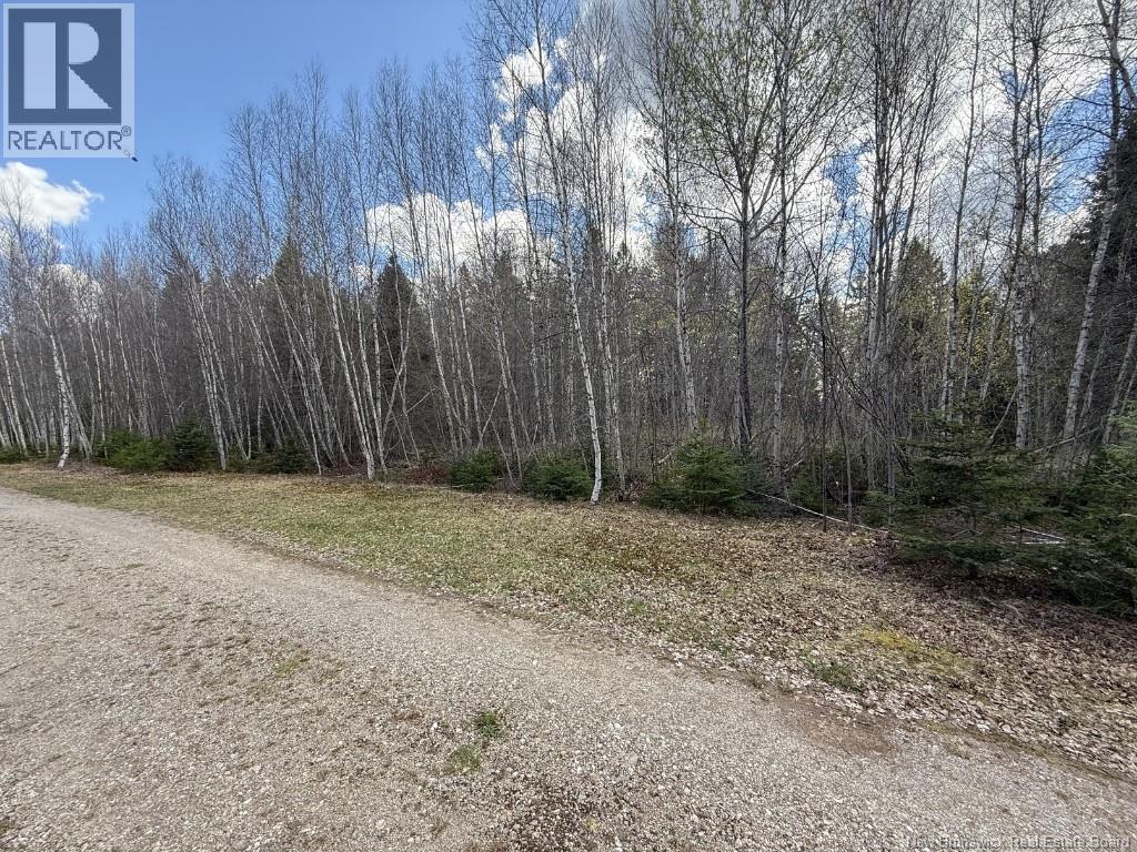 Lot 23-2 Country Shore Lane, Codys, New Brunswick  E4C 1B6 - Photo 10 - NB138824