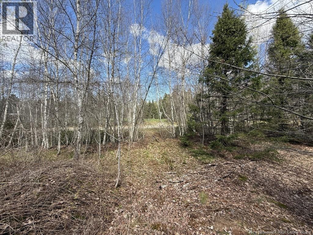 Lot 23-2 Country Shore Lane, Codys, New Brunswick  E4C 1B6 - Photo 11 - NB138824