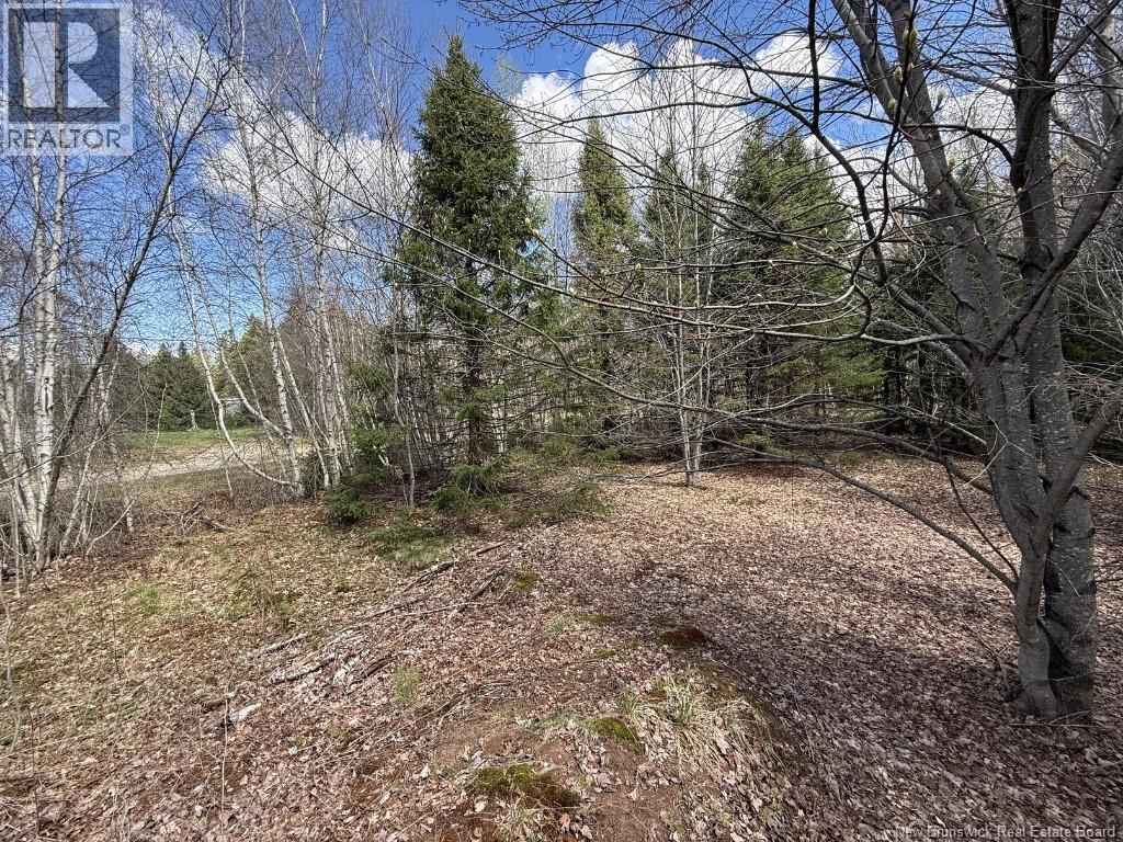Lot 23-2 Country Shore Lane, Codys, New Brunswick  E4C 1B6 - Photo 12 - NB138824