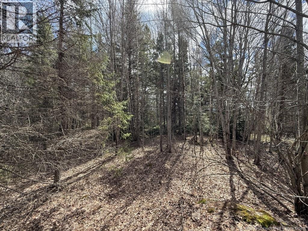 Lot 23-2 Country Shore Lane, Codys, New Brunswick  E4C 1B6 - Photo 13 - NB138824