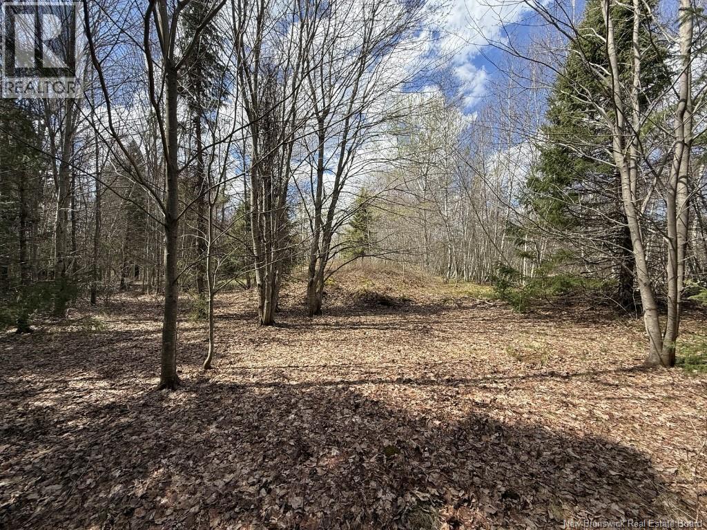 Lot 23-2 Country Shore Lane, Codys, New Brunswick  E4C 1B6 - Photo 14 - NB138824