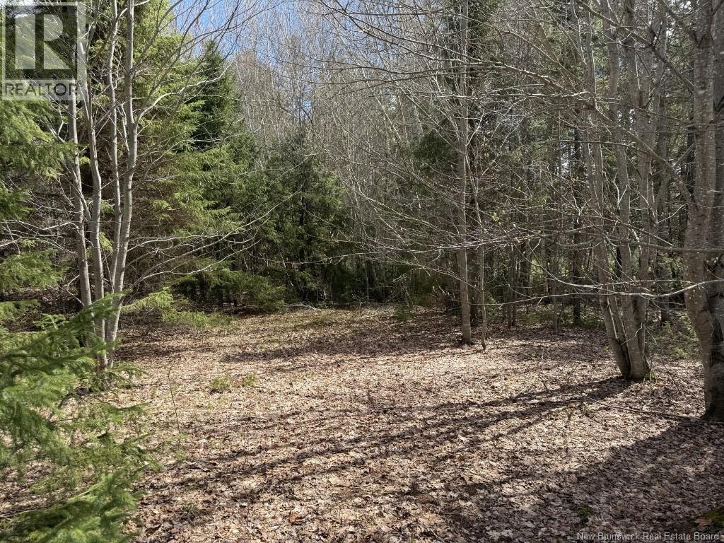 Lot 23-2 Country Shore Lane, Codys, New Brunswick  E4C 1B6 - Photo 15 - NB138824