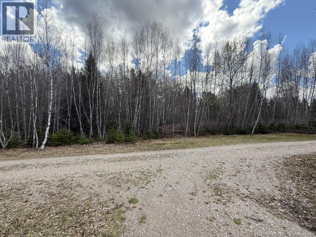 Lot 23-2 Country Shore Lane, Codys, New Brunswick  E4C 1B6 - Photo 7 - NB138824