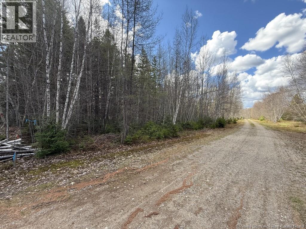 Lot 23-2 Country Shore Lane, Codys, New Brunswick  E4C 1B6 - Photo 9 - NB138824