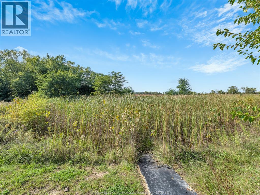12144 12th Concession, Essex, Ontario  N0R 1J0 - Photo 29 - 26011113