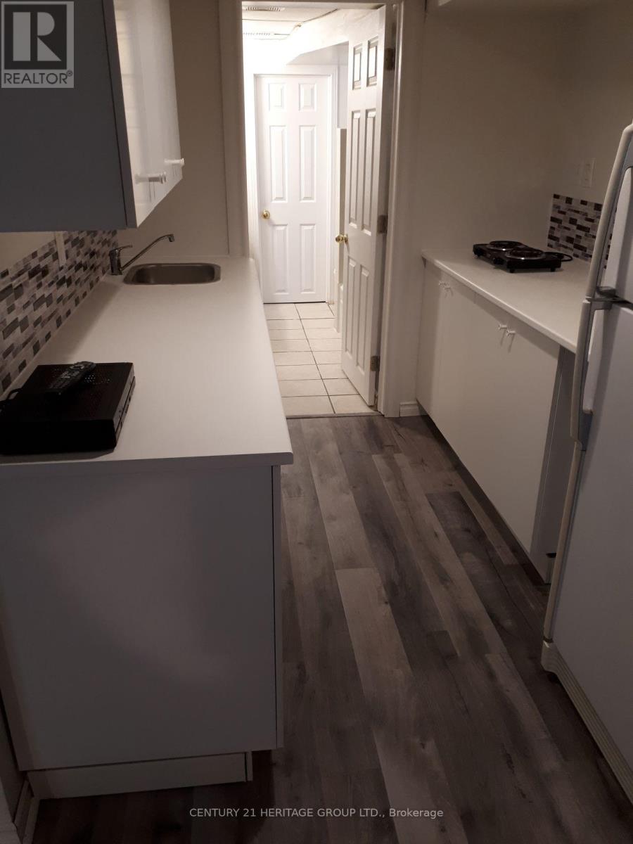 Basement - 95 Lucas Street, Richmond Hill, Ontario  L4C 4P4 - Photo 4 - N13049444