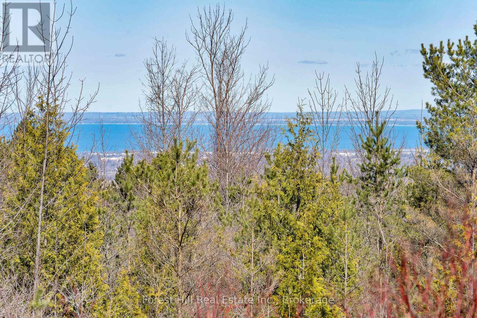 246 Northmount Crescent, Blue Mountains, Ontario  L9Y 0R6 - Photo 35 - X13126688