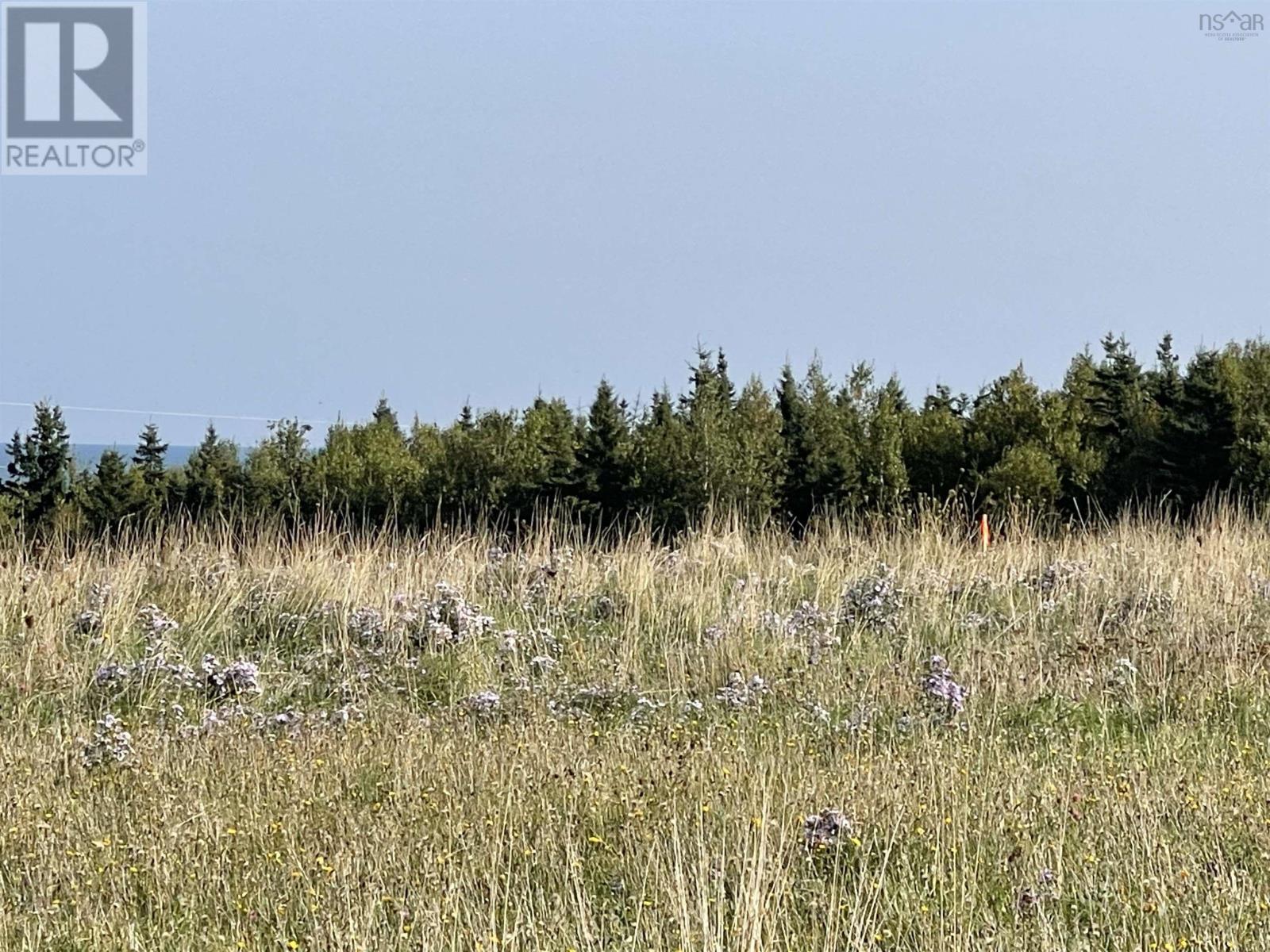Lot 38 Sea Glass Terrace, Pugwash, Nova Scotia  B0K 1L0 - Photo 23 - 202610848