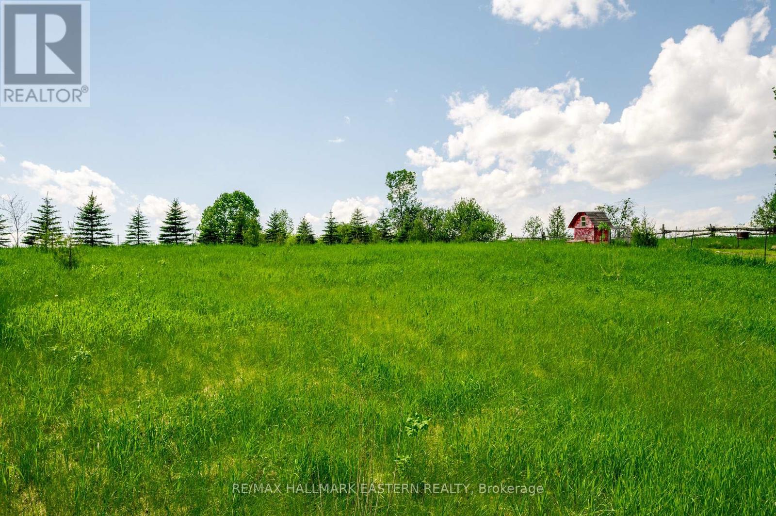 597 Killarney Bay Road, Kawartha Lakes, Ontario  K0M 1G0 - Photo 35 - X13126812