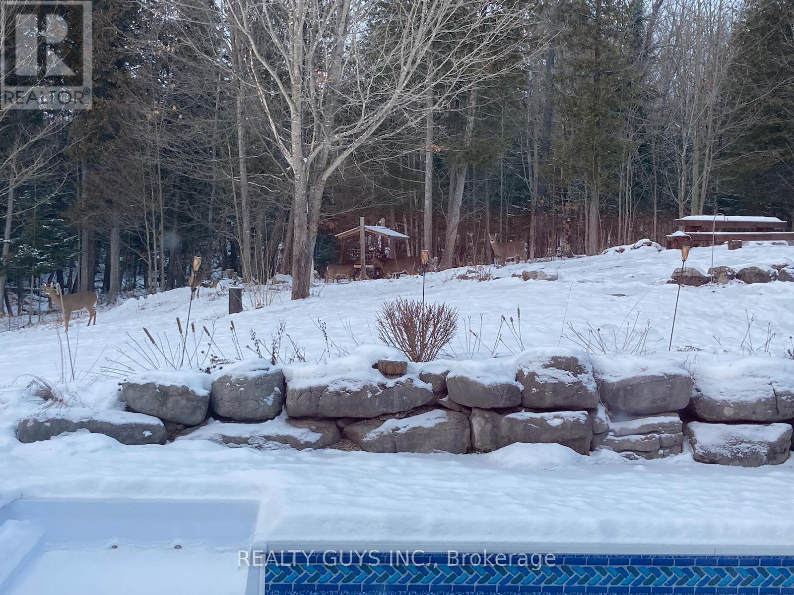891 County Road, Trent Lakes, Ontario  K0M 1A0 - Photo 20 - X13126860
