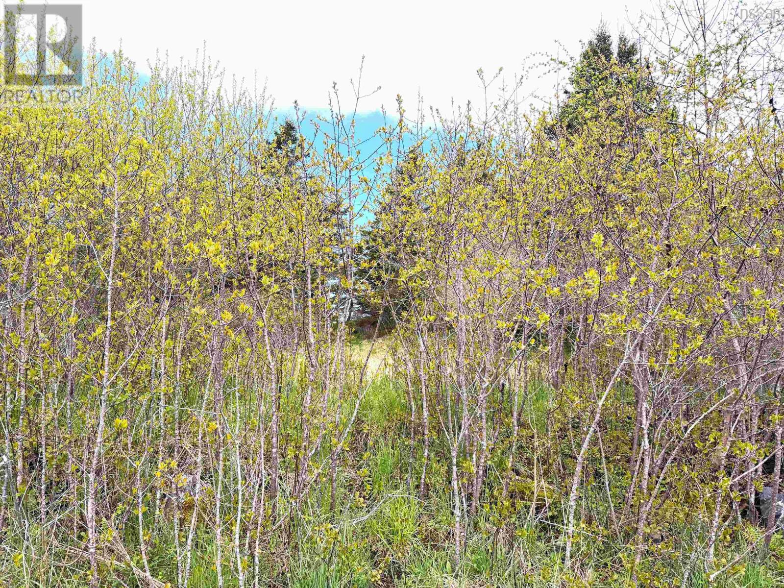 Lot 5, Lakeside Road, Dayton, Nova Scotia  B5A 5K3 - Photo 11 - 202610855