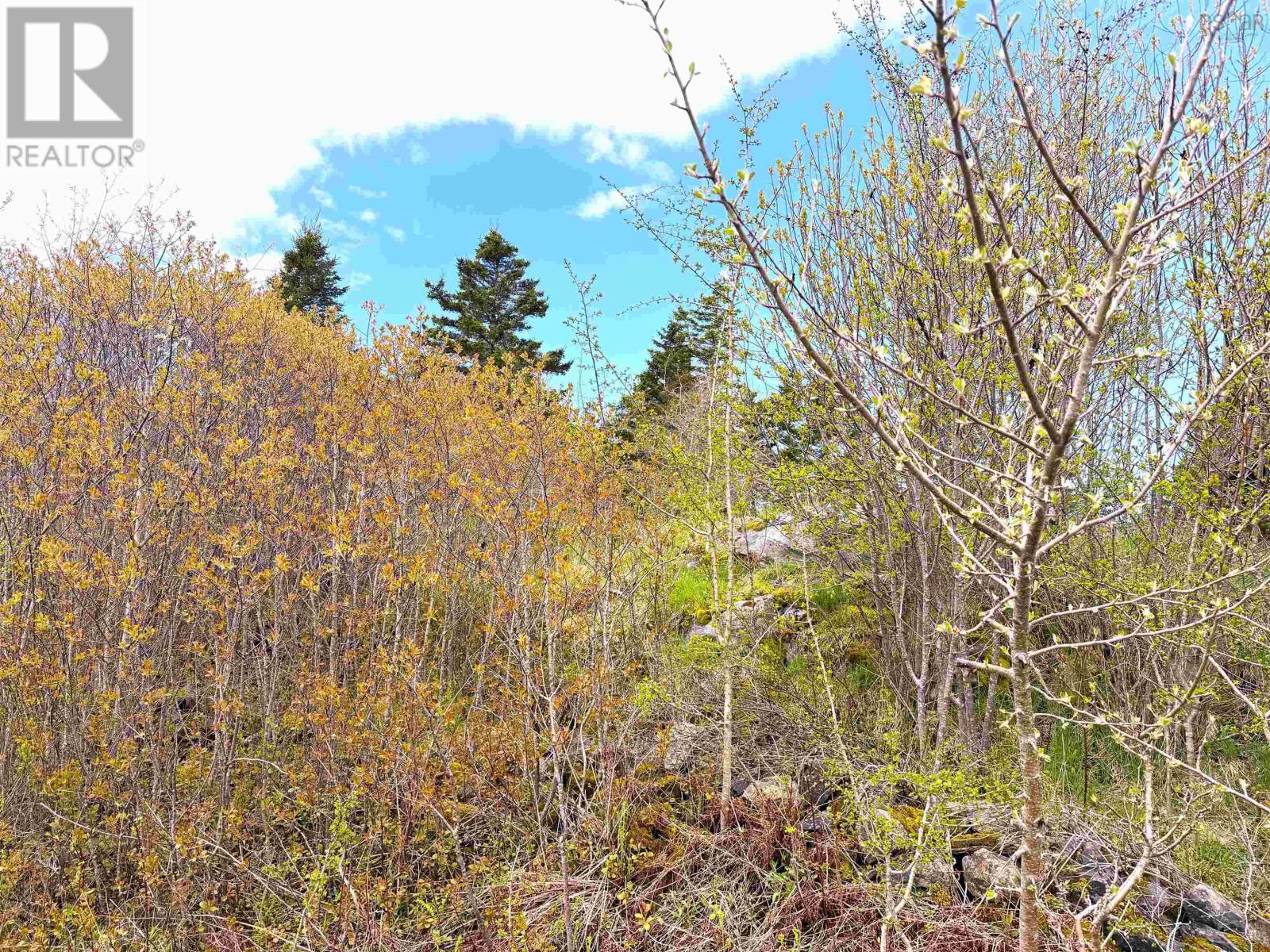 Lot 5, Lakeside Road, Dayton, Nova Scotia  B5A 5K3 - Photo 22 - 202610855