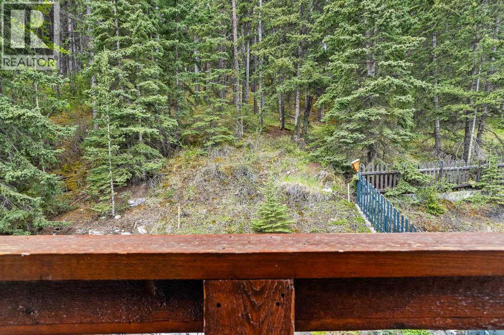 B, 243 Three Sisters Drive, Canmore, Alberta  T1W 2M4 - Photo 20 - A2290693