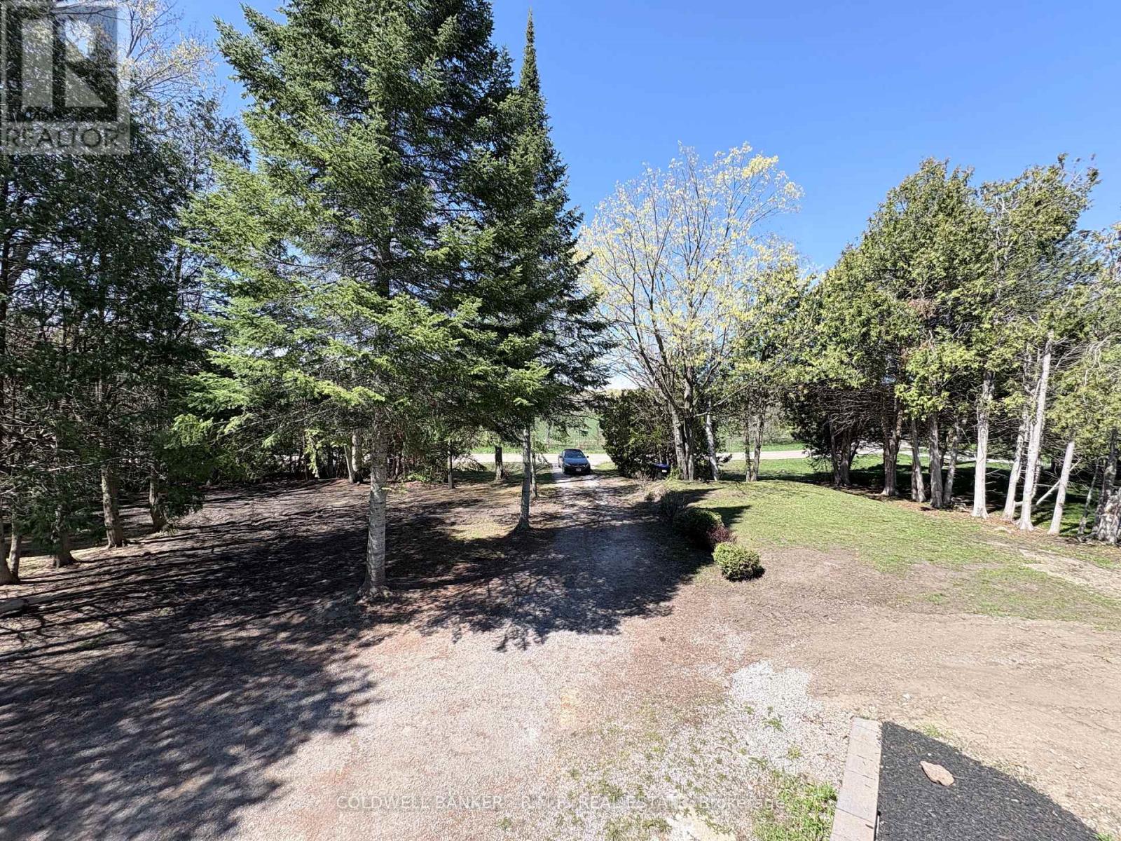 1355 Furniss Drive, Ramara (Brechin), Ontario  L0K 1B0 - Photo 31 - S13127670