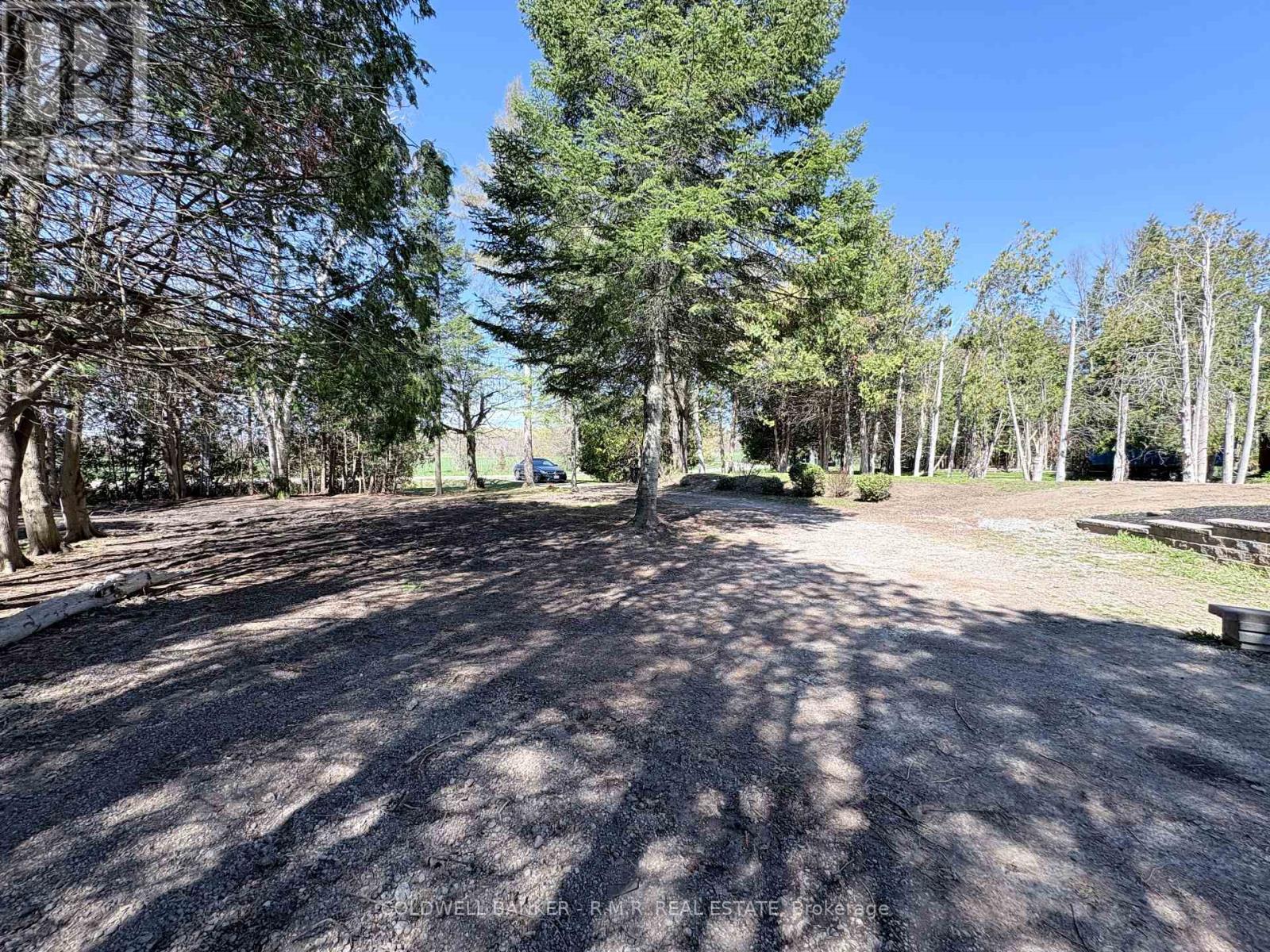 1355 Furniss Drive, Ramara (Brechin), Ontario  L0K 1B0 - Photo 5 - S13127670