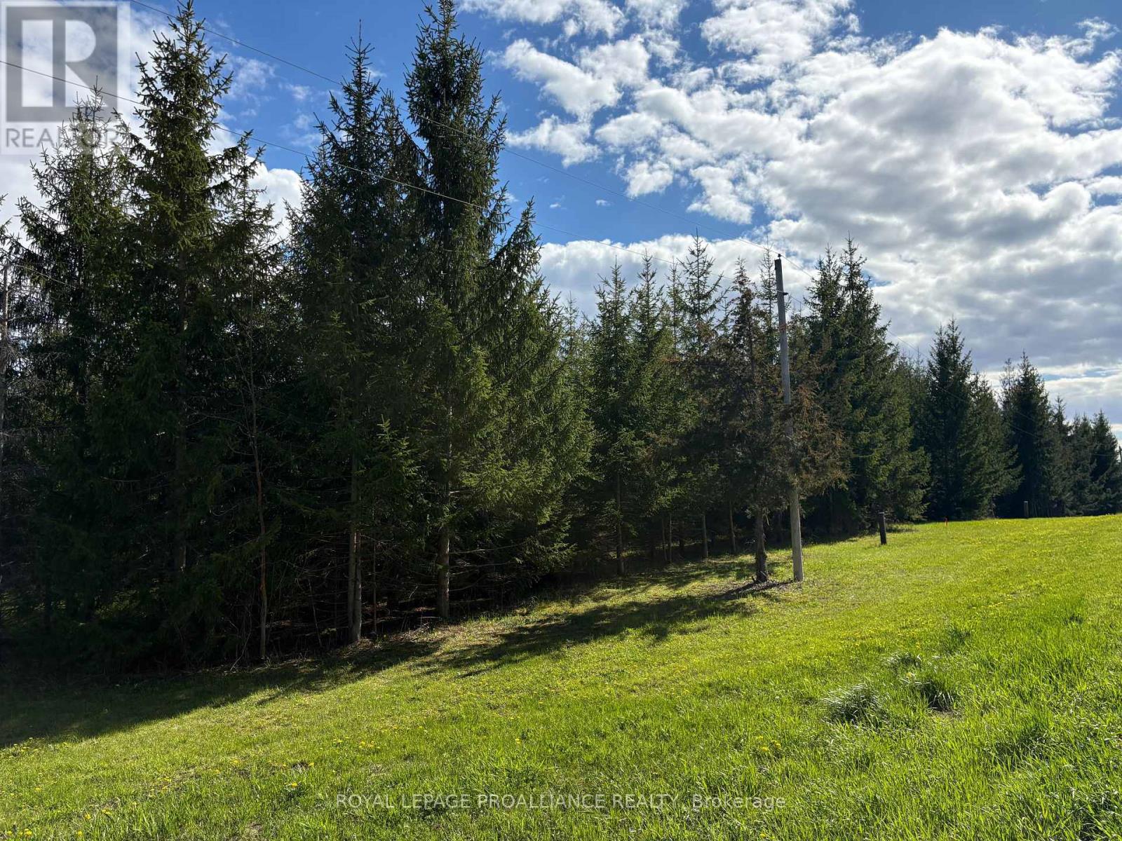 Part 2 Ingham Road, Alnwick/haldimand, Ontario  K0K 2X0 - Photo 10 - X13127350