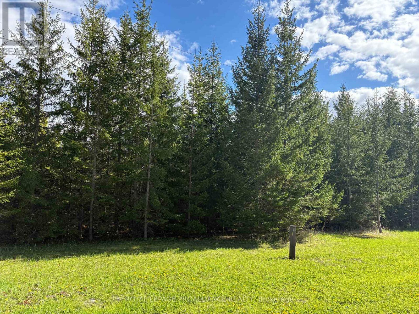 Part 2 Ingham Road, Alnwick/haldimand, Ontario  K0K 2X0 - Photo 12 - X13127350