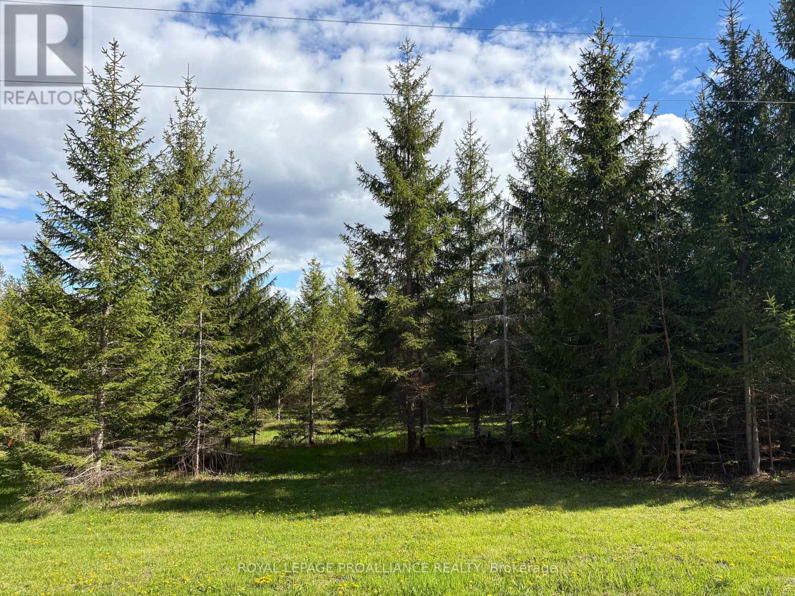 Part 2 Ingham Road, Alnwick/haldimand, Ontario  K0K 2X0 - Photo 2 - X13127350