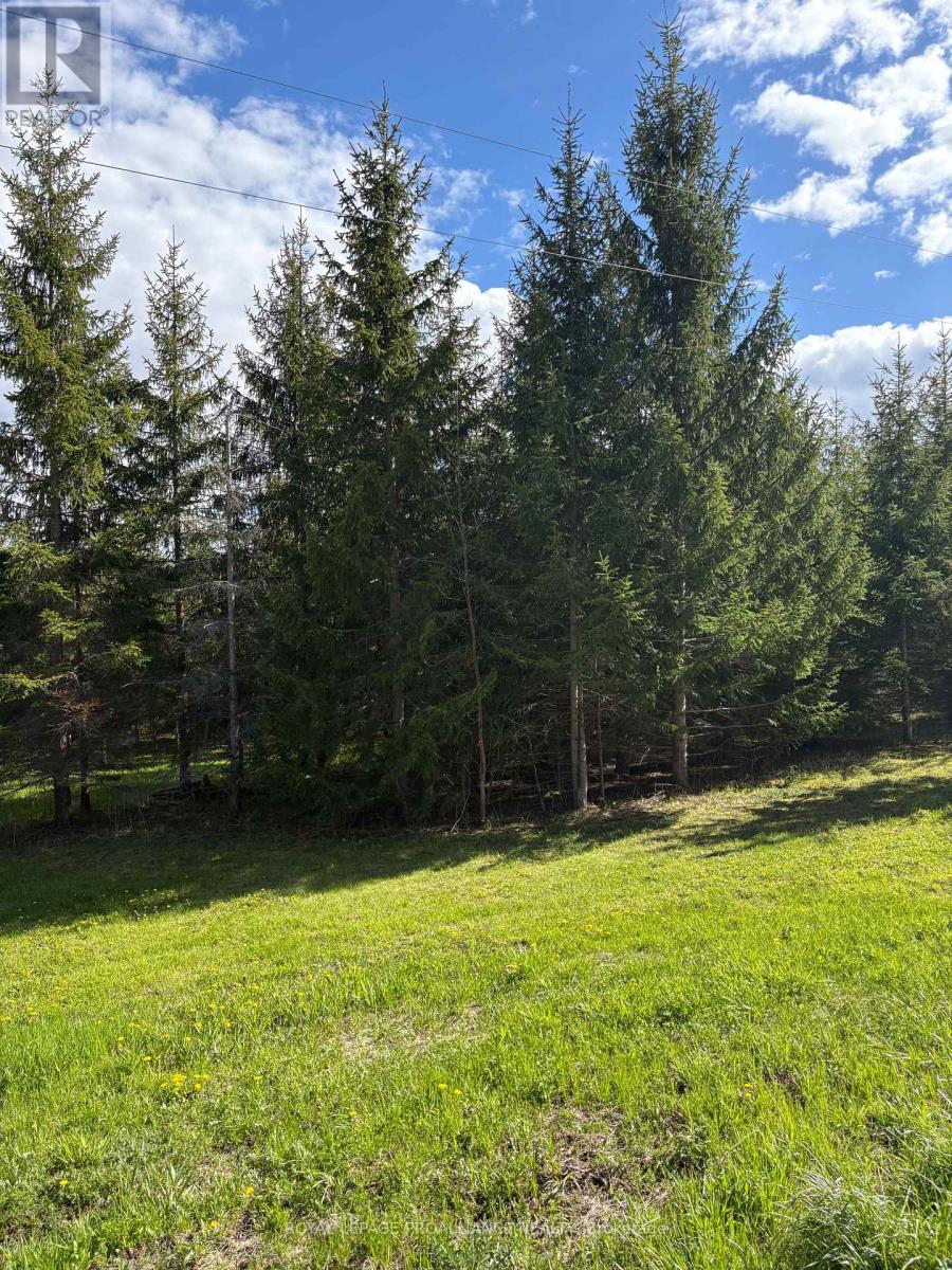 Part 2 Ingham Road, Alnwick/haldimand, Ontario  K0K 2X0 - Photo 3 - X13127350
