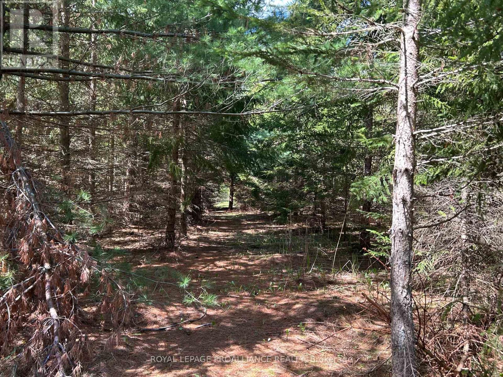 Part 2 Ingham Road, Alnwick/haldimand, Ontario  K0K 2X0 - Photo 5 - X13127350