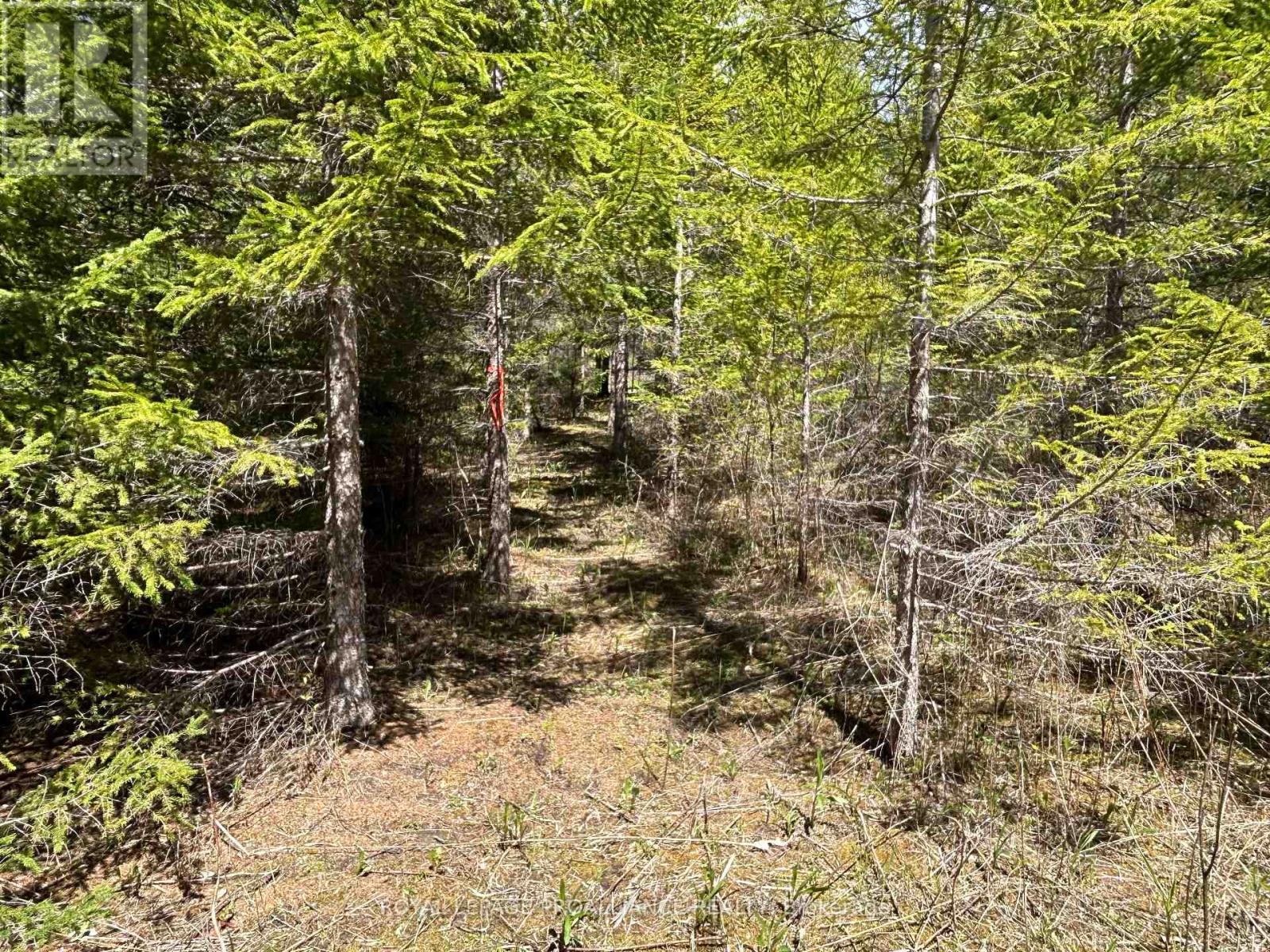 Part 2 Ingham Road, Alnwick/haldimand, Ontario  K0K 2X0 - Photo 6 - X13127350