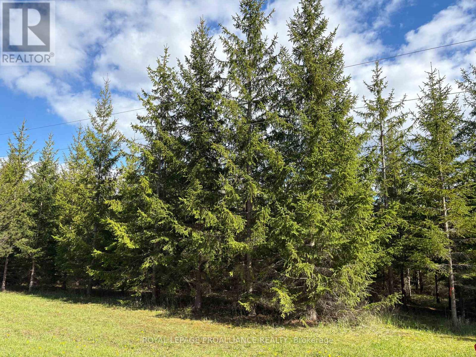 Part 3 Ingham Road, Alnwick/haldimand, Ontario  K0K 2X0 - Photo 10 - X13127356