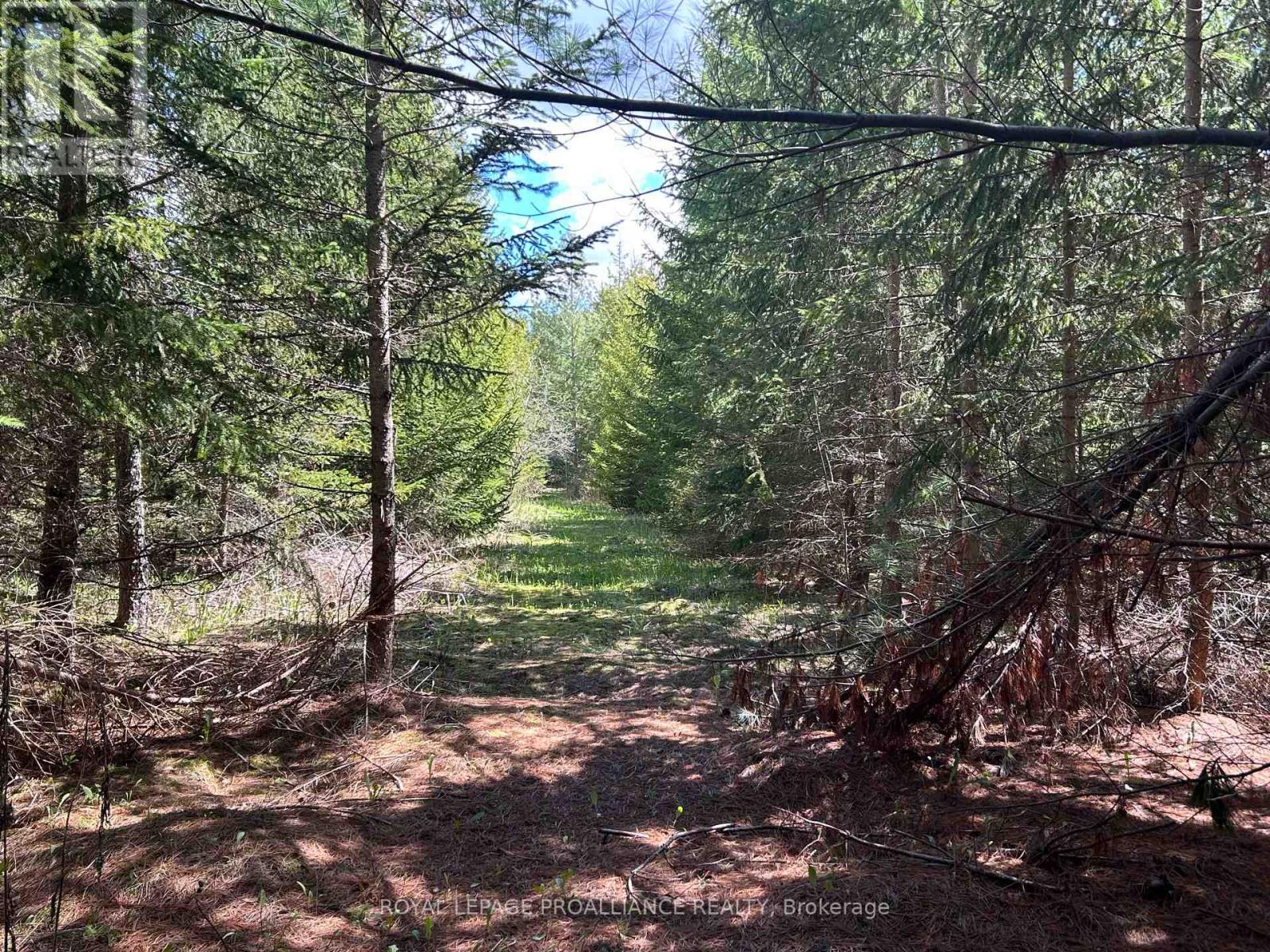 Part 3 Ingham Road, Alnwick/haldimand, Ontario  K0K 2X0 - Photo 11 - X13127356