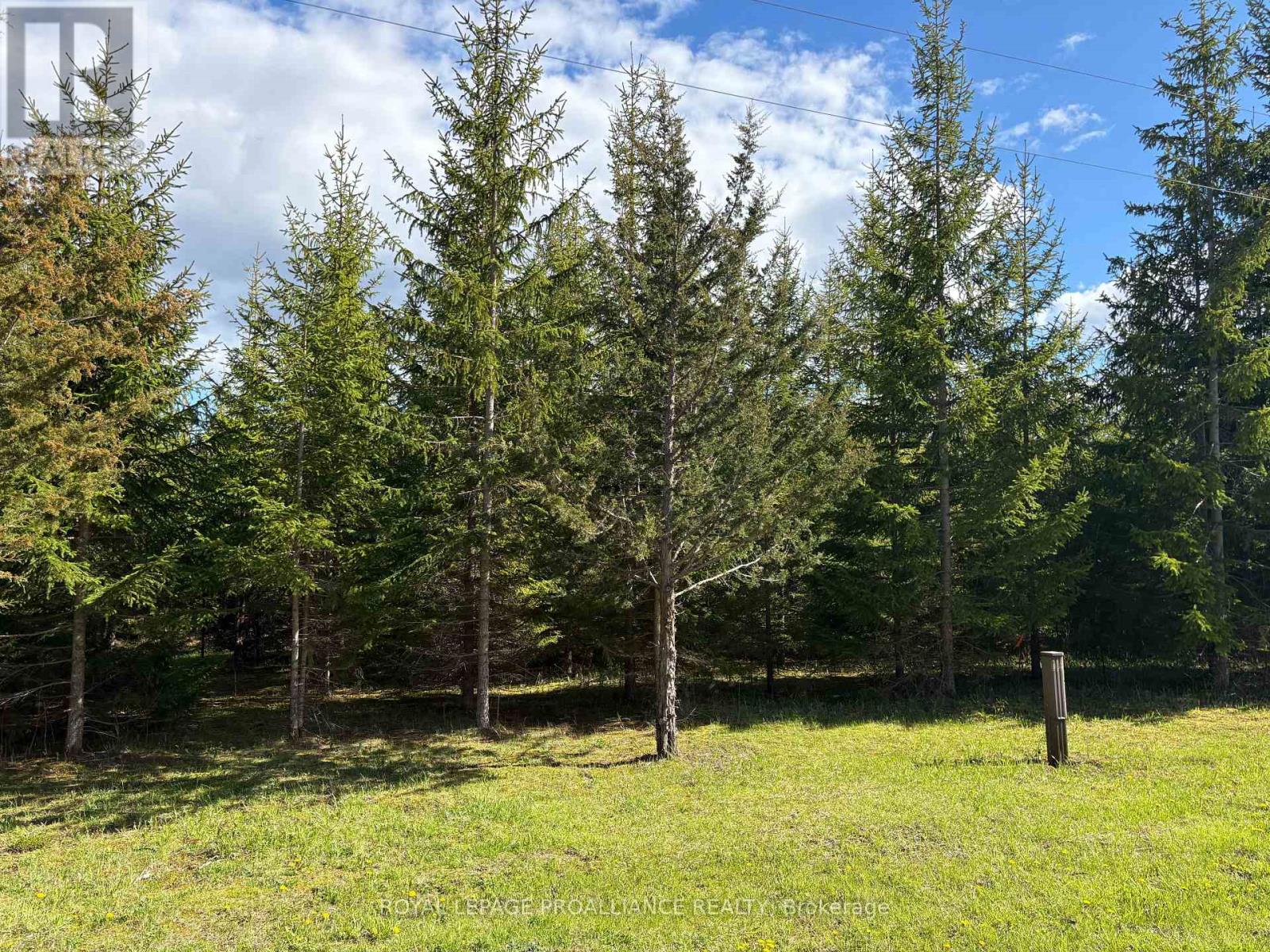 Part 3 Ingham Road, Alnwick/haldimand, Ontario  K0K 2X0 - Photo 6 - X13127356