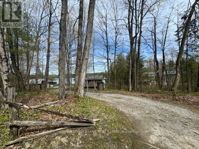 87 Pearce Road, Kawartha Lakes, Ontario  K0M 2B0 - Photo 15 - X13127374