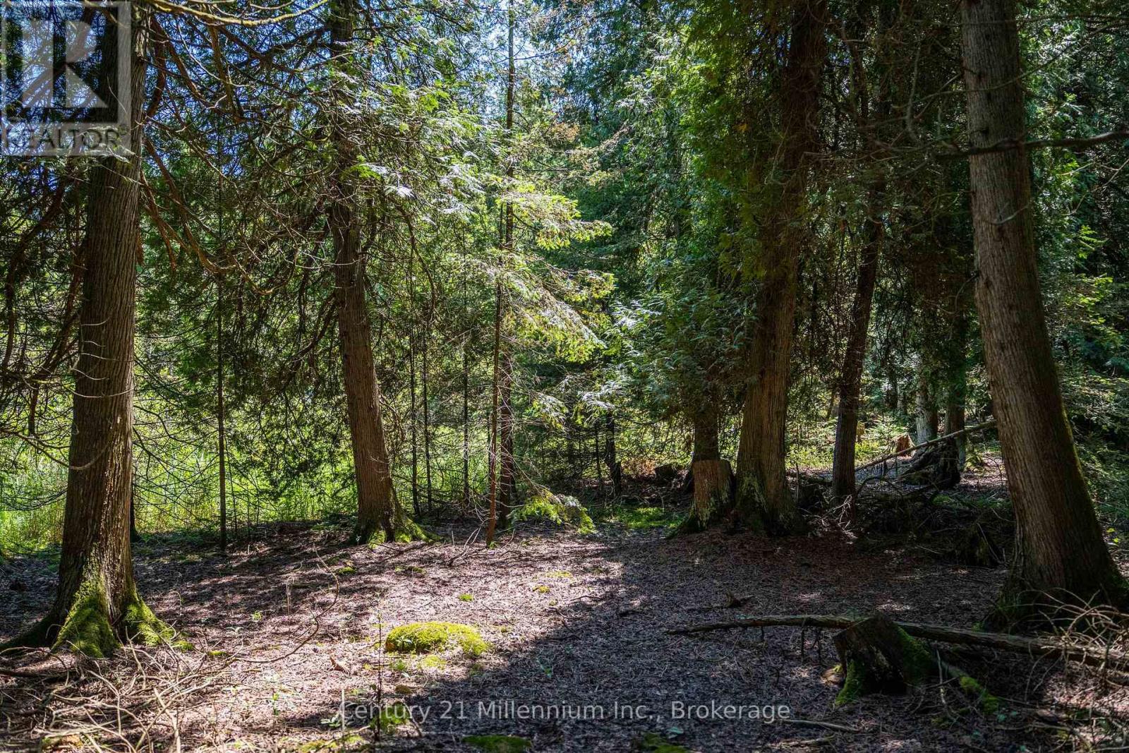 77 Smokehouse Island, South Bruce Peninsula, Ontario  N0H 2T0 - Photo 19 - X13127338