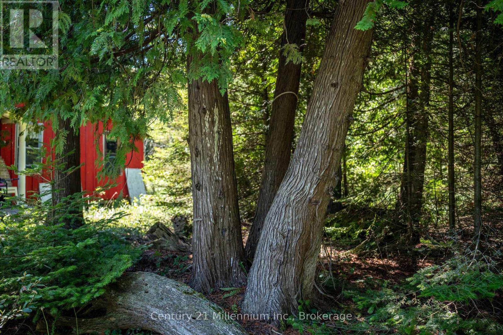 77 Smokehouse Island, South Bruce Peninsula, Ontario  N0H 2T0 - Photo 23 - X13127338