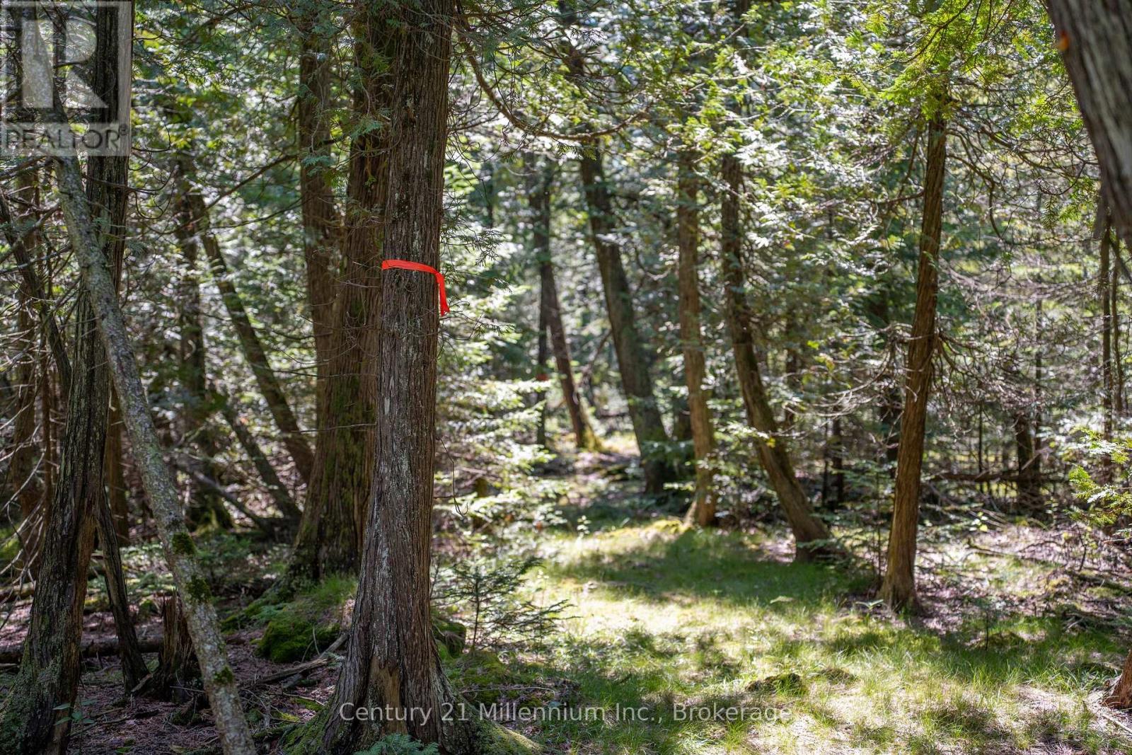 77 Smokehouse Island, South Bruce Peninsula, Ontario  N0H 2T0 - Photo 46 - X13127338
