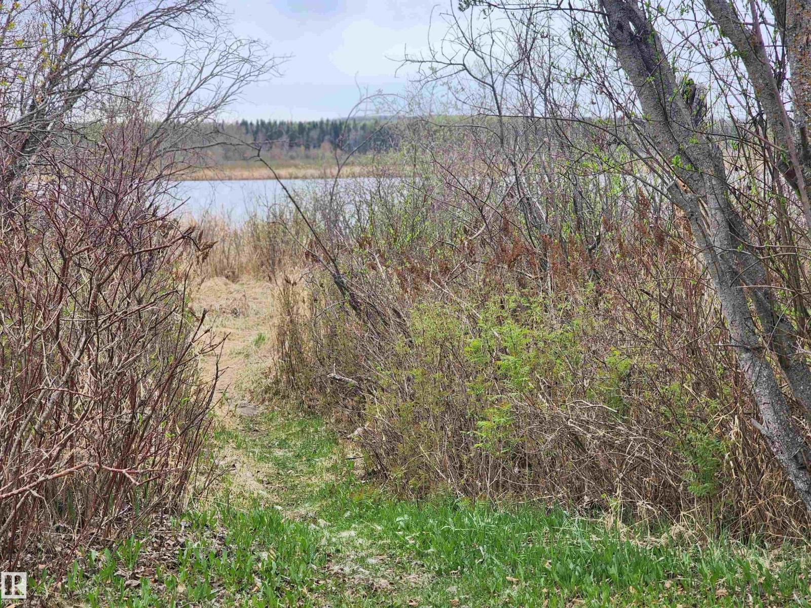 612 1 Av E, Rural Wetaskiwin County, Alberta  T0C 0T0 - Photo 14 - E4487620