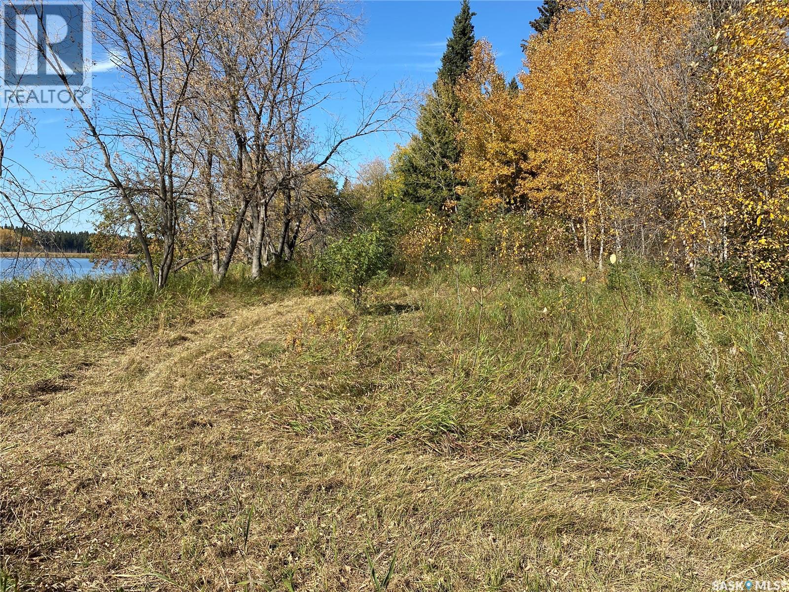 338 Johnson Avenue, Big River, Saskatchewan  S0J 0E0 - Photo 10 - SK035986